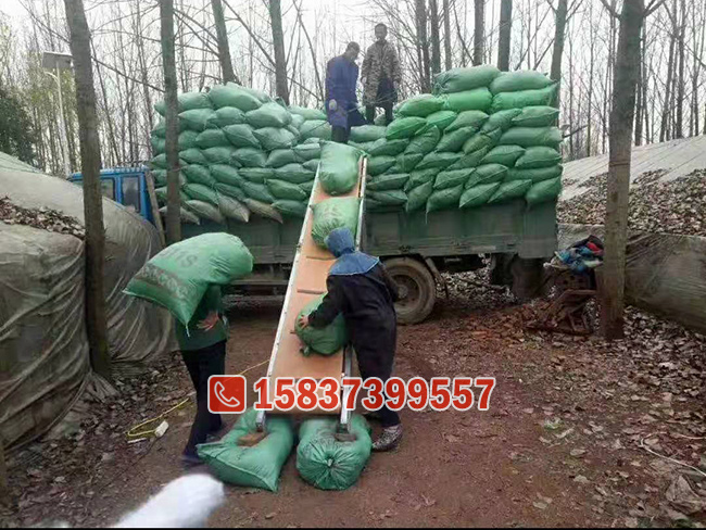 小型4米收（shōu）購皮帶（dài）輸（shū）送機