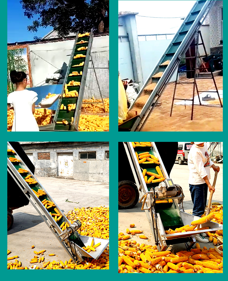 220V小型（xíng）玉米棒輸送機